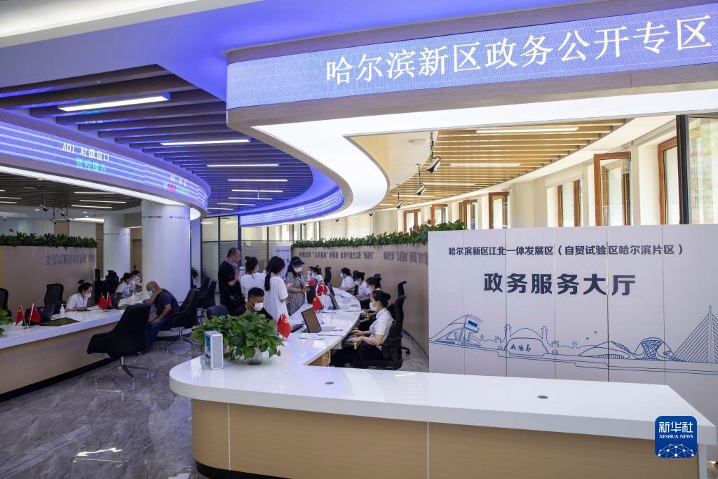 在黑龍江省哈爾濱新區江北一體發(fā)展區(自貿試驗區哈爾濱片區)政務(wù)服務(wù)大廳，市民在辦理業(yè)務(wù)（2022年7月12日攝）。